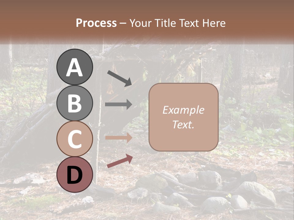 Branch Evergreen Bush PowerPoint Template