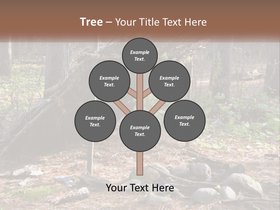 Branch Evergreen Bush PowerPoint Template