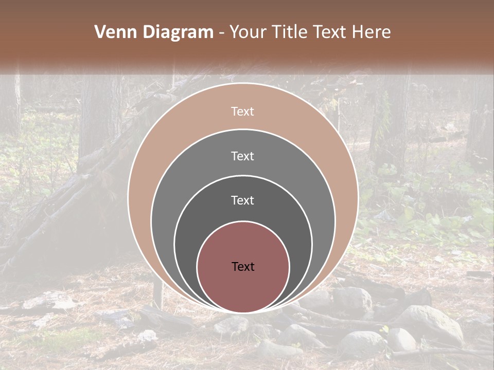 Branch Evergreen Bush PowerPoint Template