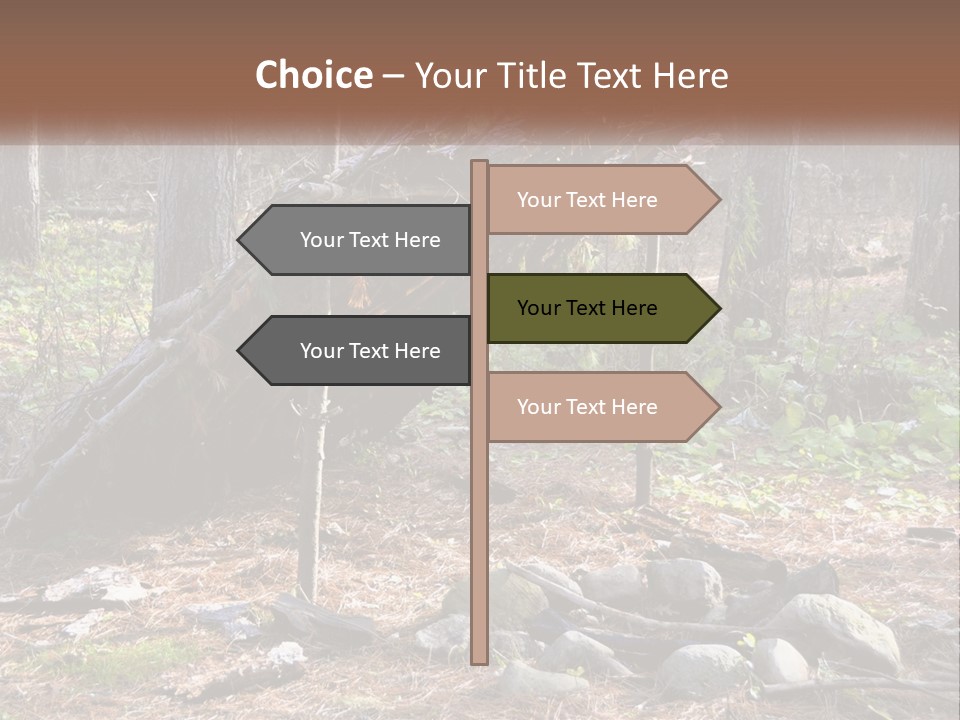 Branch Evergreen Bush PowerPoint Template