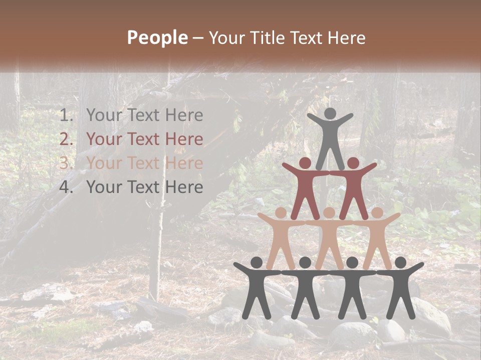 Branch Evergreen Bush PowerPoint Template