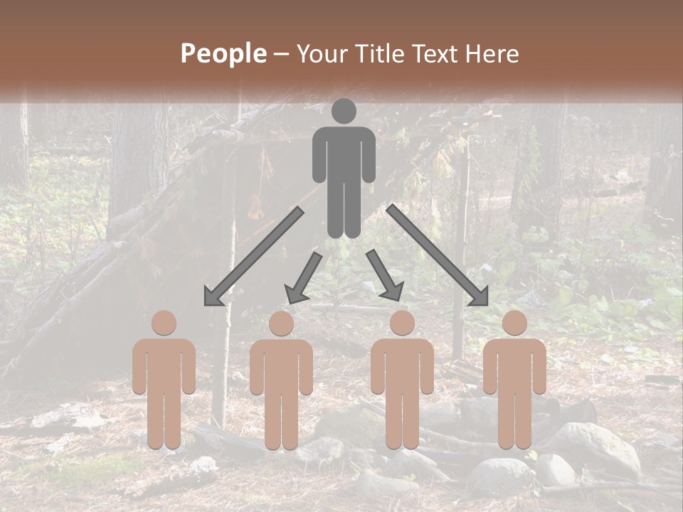 Branch Evergreen Bush PowerPoint Template