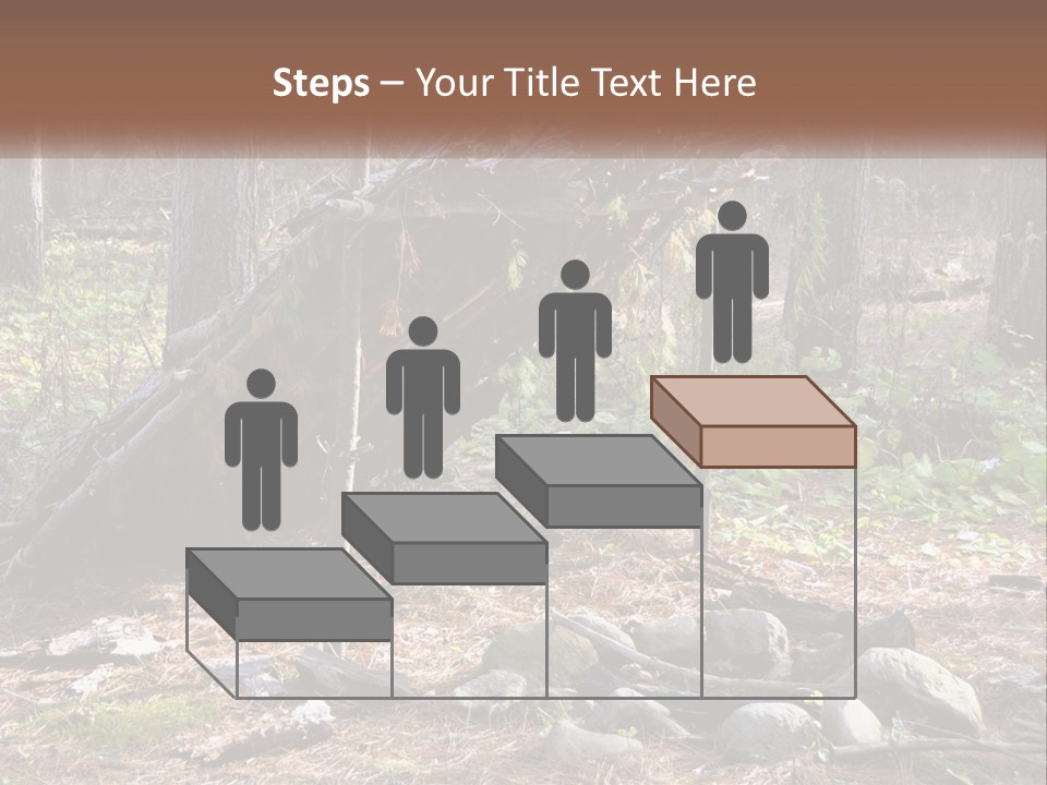 Branch Evergreen Bush PowerPoint Template