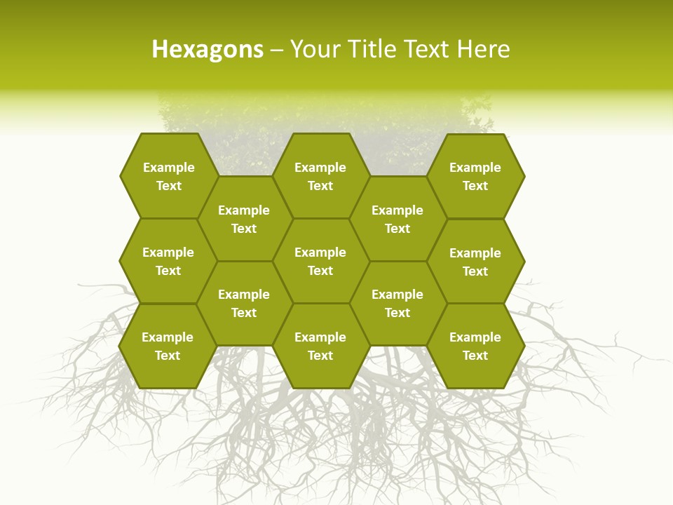 Power Summer Root PowerPoint Template