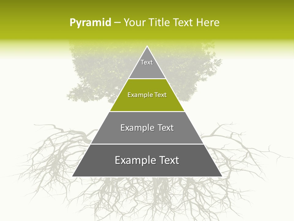 Power Summer Root PowerPoint Template