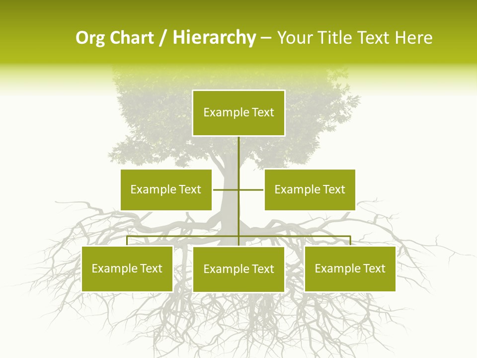Power Summer Root PowerPoint Template