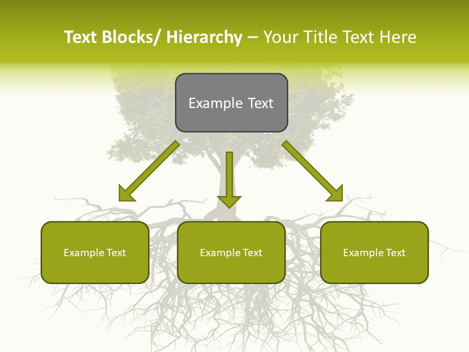 Power Summer Root PowerPoint Template