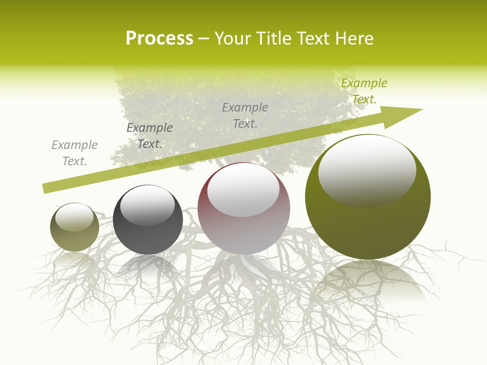 Power Summer Root PowerPoint Template