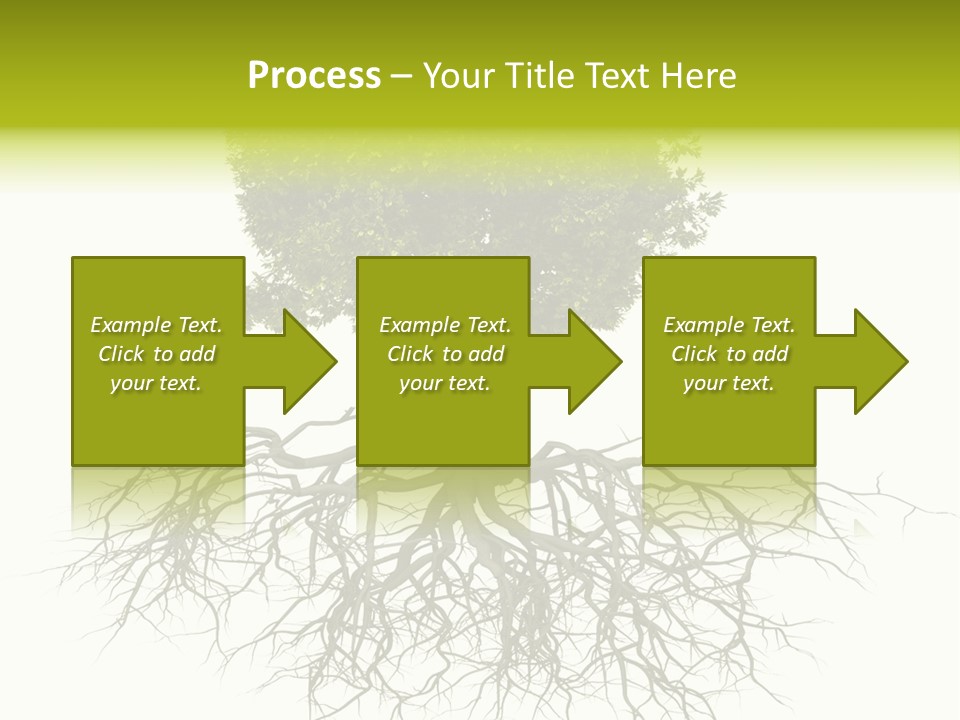 Power Summer Root PowerPoint Template