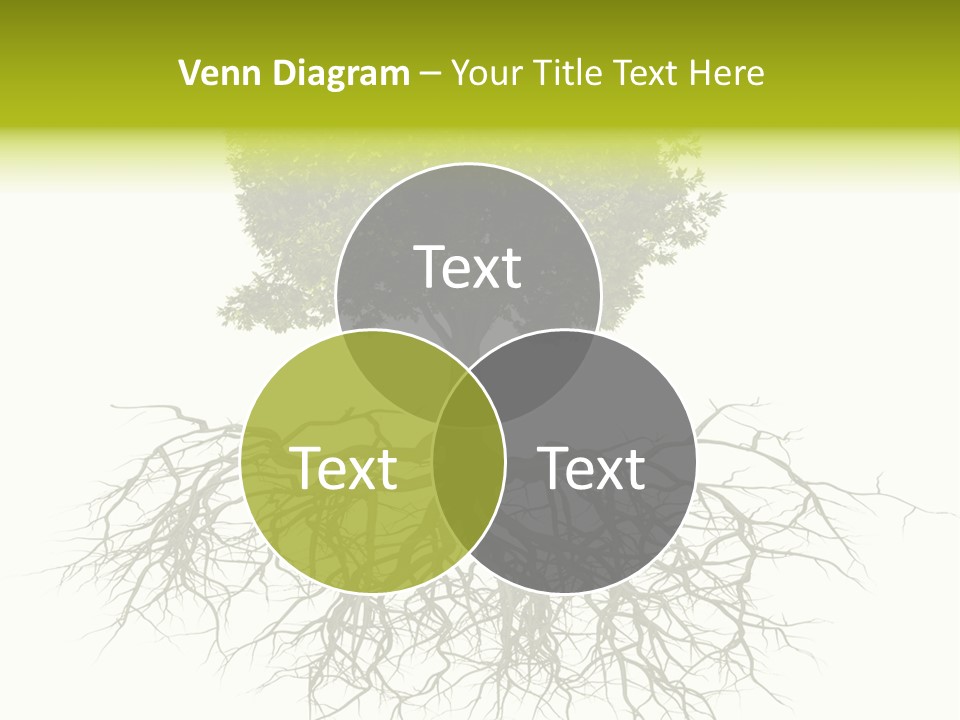 Power Summer Root PowerPoint Template