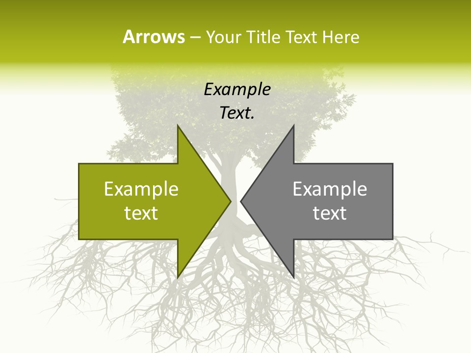 Power Summer Root PowerPoint Template