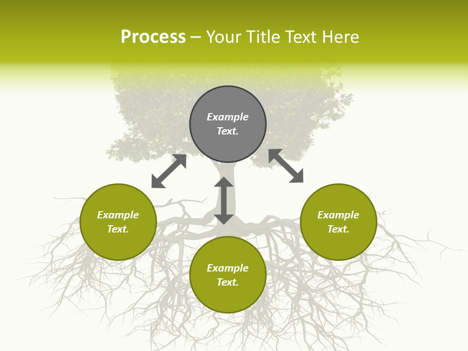 Power Summer Root PowerPoint Template