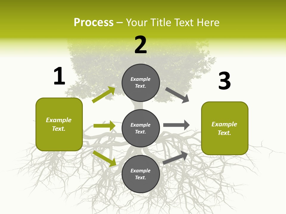 Power Summer Root PowerPoint Template