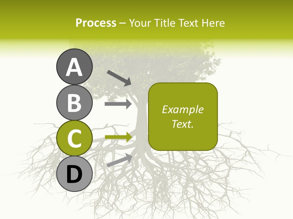 Power Summer Root PowerPoint Template