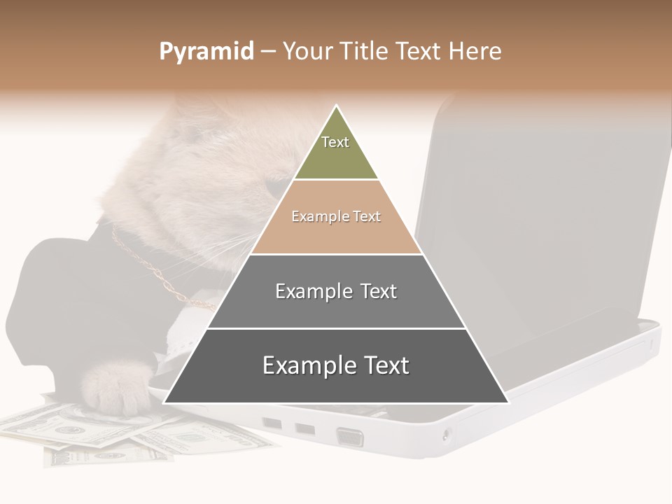 Dollar White Technology PowerPoint Template