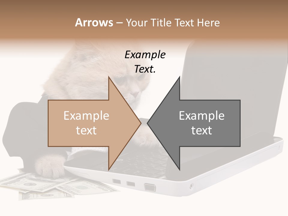 Dollar White Technology PowerPoint Template