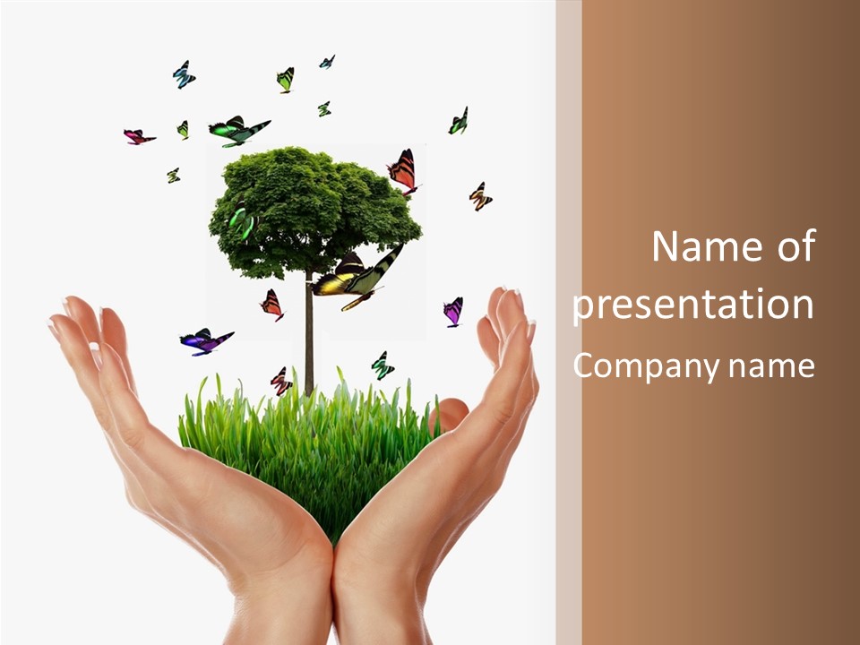Two Hands Holding A Tree With Butterflies Flying Around It PowerPoint Template