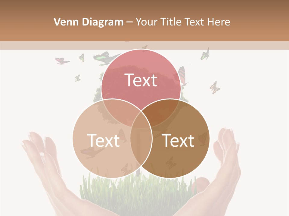 Two Hands Holding A Tree With Butterflies Flying Around It PowerPoint Template