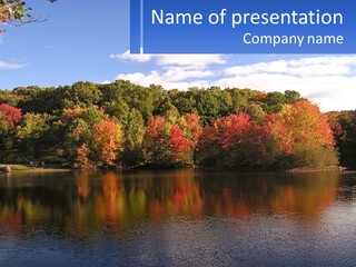 Connecticut Trees Clouds PowerPoint Template