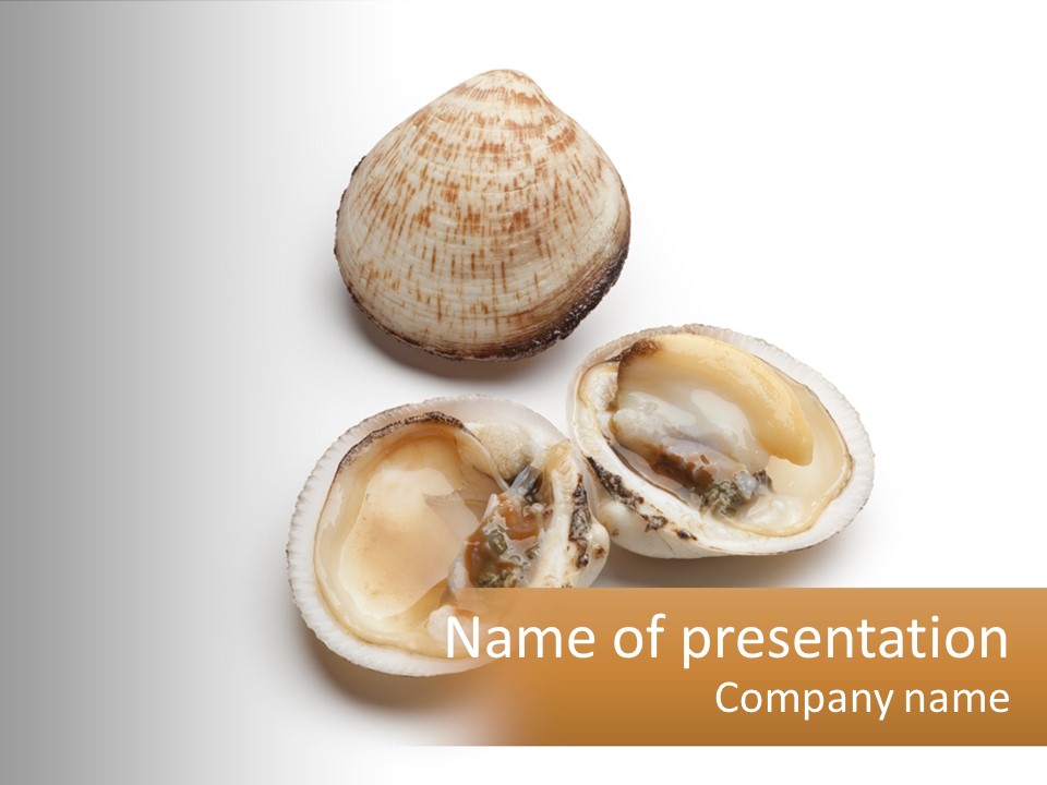 European Edible Mollusk PowerPoint Template