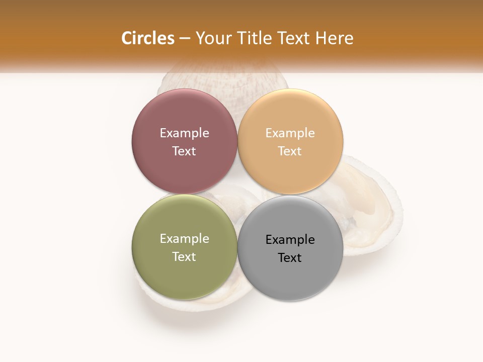 European Edible Mollusk PowerPoint Template