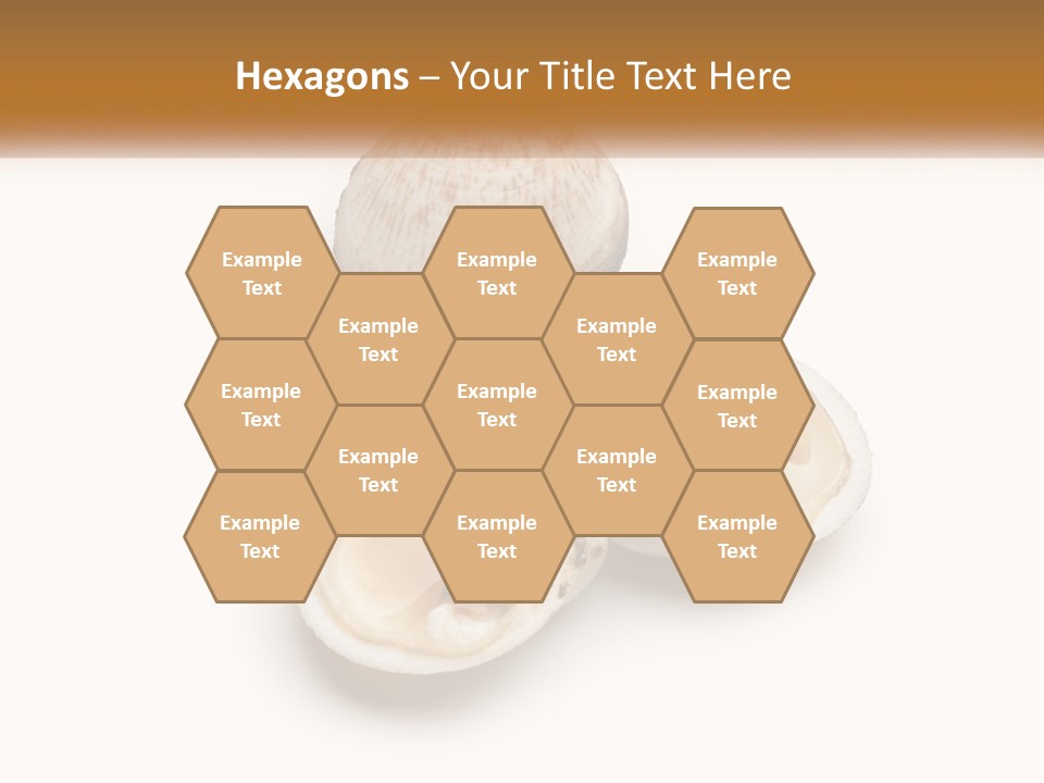 European Edible Mollusk PowerPoint Template