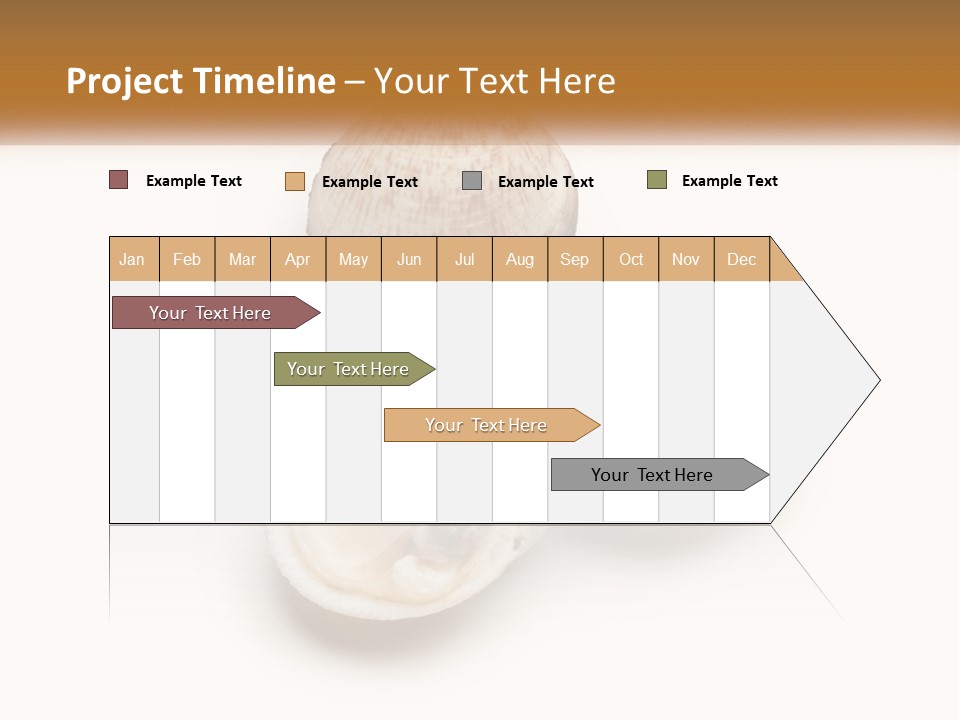 European Edible Mollusk PowerPoint Template