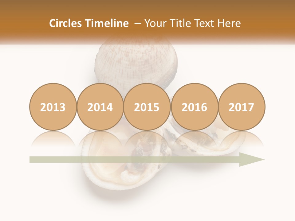 European Edible Mollusk PowerPoint Template