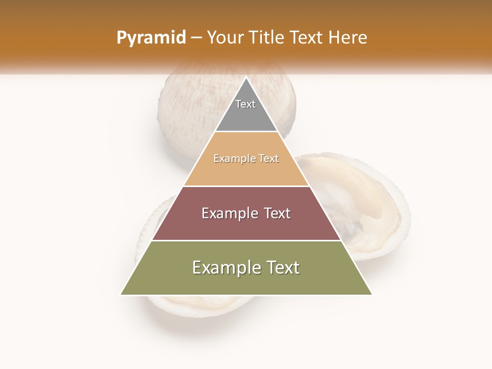 European Edible Mollusk PowerPoint Template