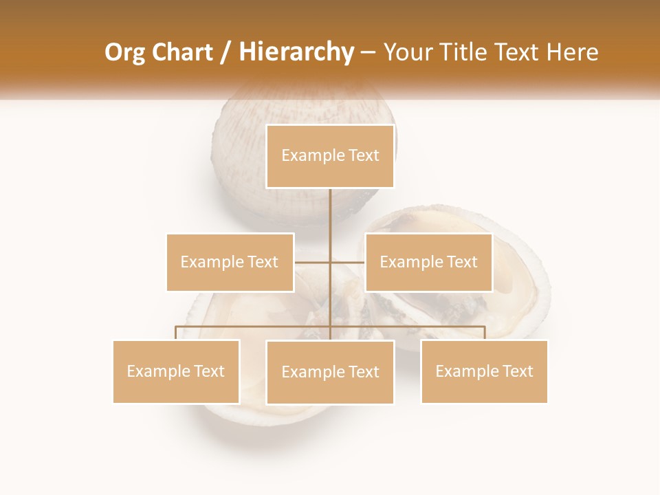 European Edible Mollusk PowerPoint Template