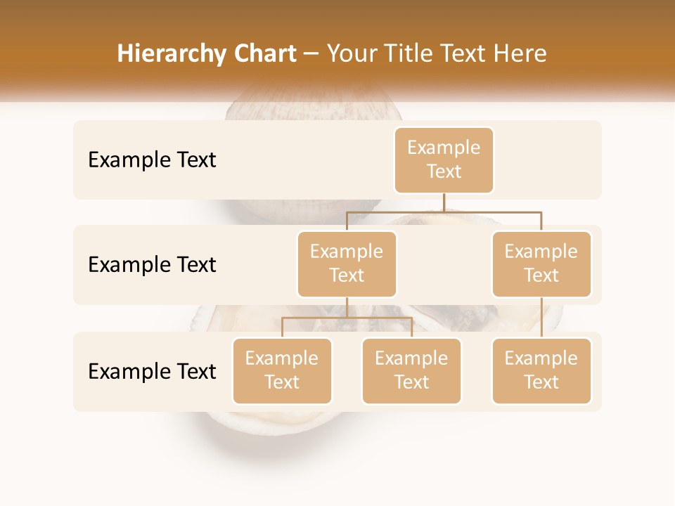 European Edible Mollusk PowerPoint Template