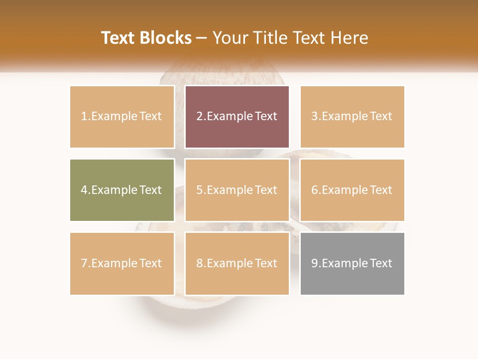 European Edible Mollusk PowerPoint Template