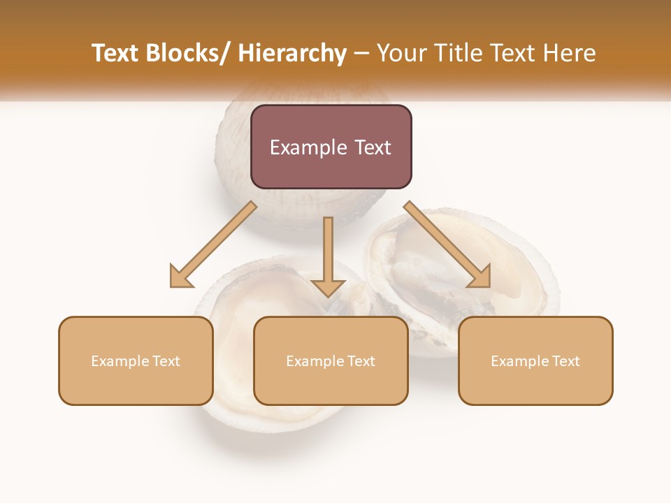 European Edible Mollusk PowerPoint Template