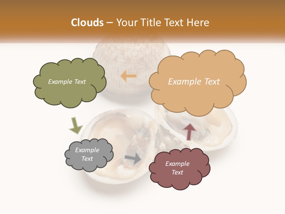 European Edible Mollusk PowerPoint Template