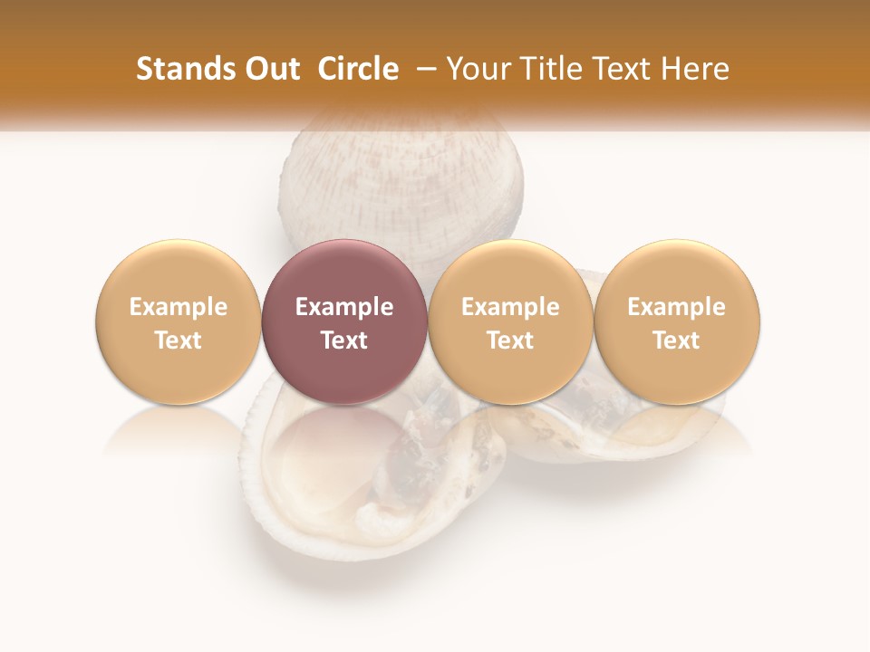 European Edible Mollusk PowerPoint Template