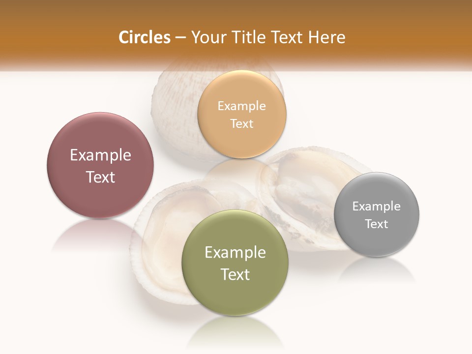 European Edible Mollusk PowerPoint Template