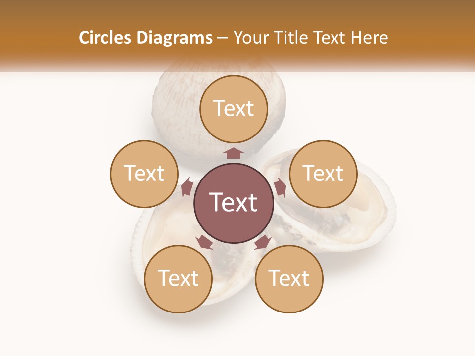 European Edible Mollusk PowerPoint Template