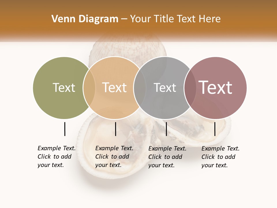European Edible Mollusk PowerPoint Template