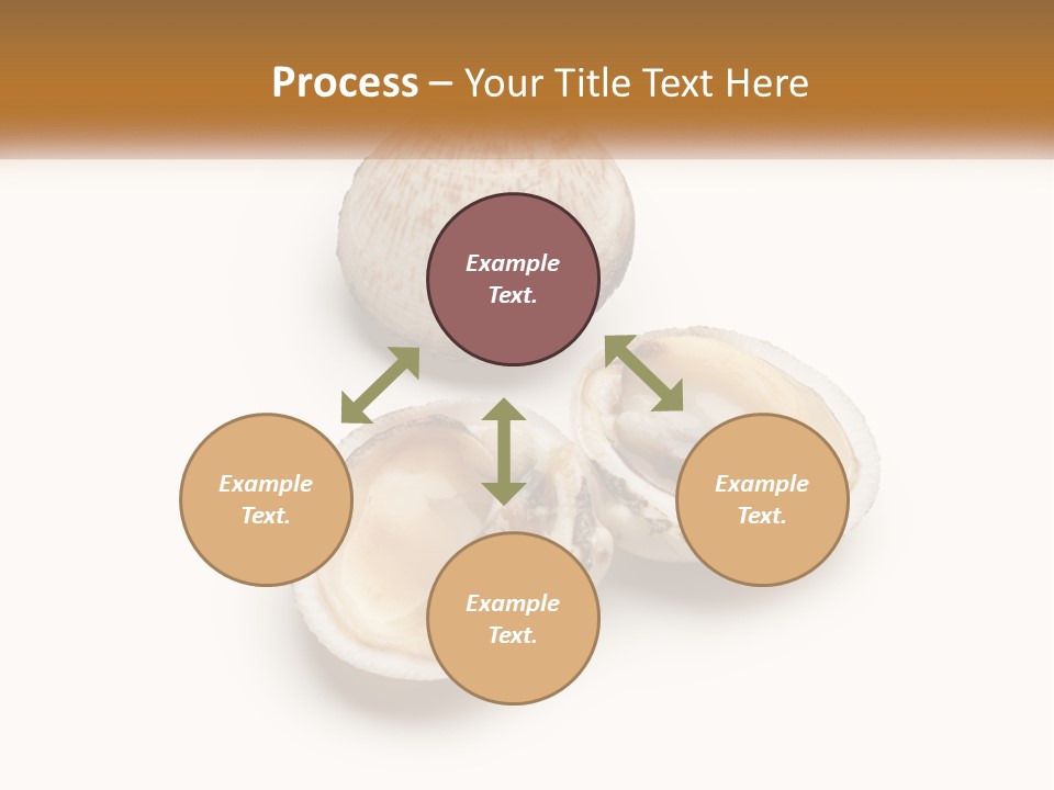 European Edible Mollusk PowerPoint Template