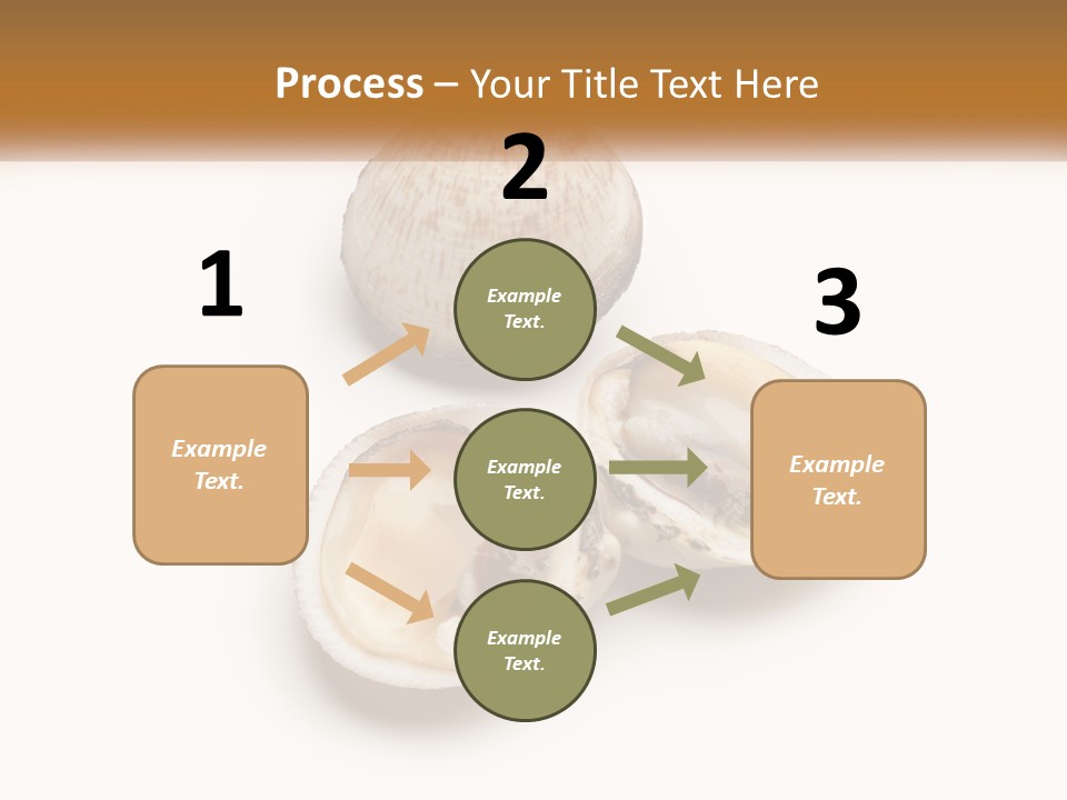 European Edible Mollusk PowerPoint Template