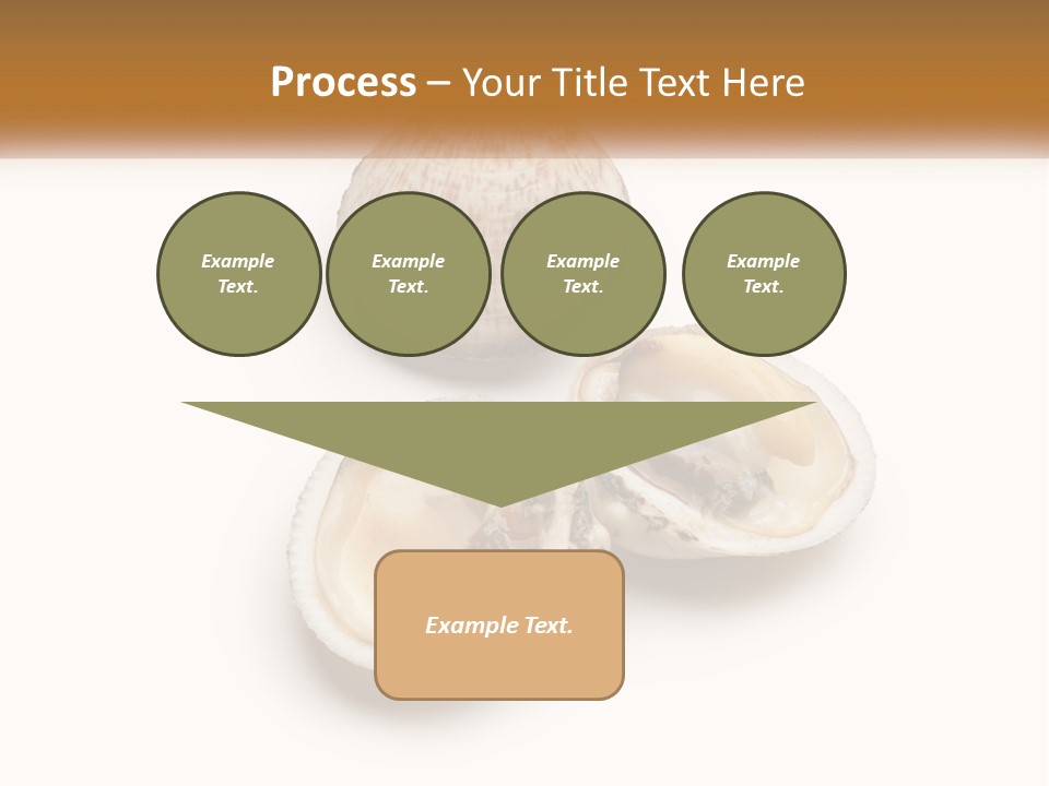 European Edible Mollusk PowerPoint Template