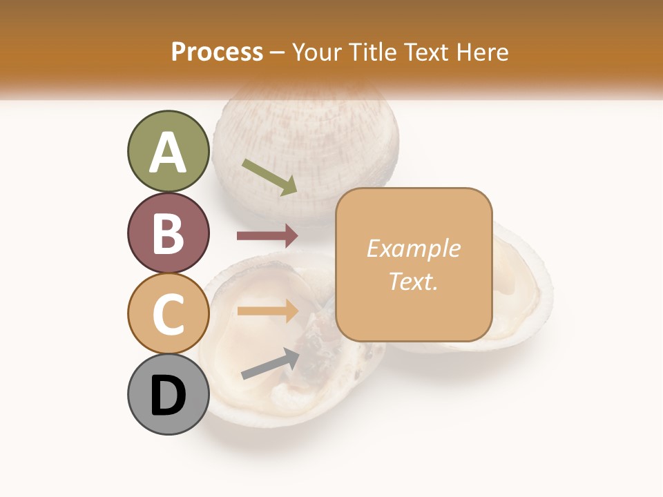 European Edible Mollusk PowerPoint Template
