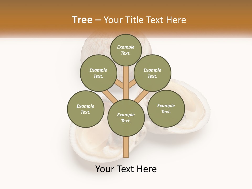 European Edible Mollusk PowerPoint Template