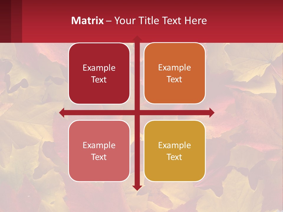 A Bunch Of Colorful Leaves On A White Background PowerPoint Template