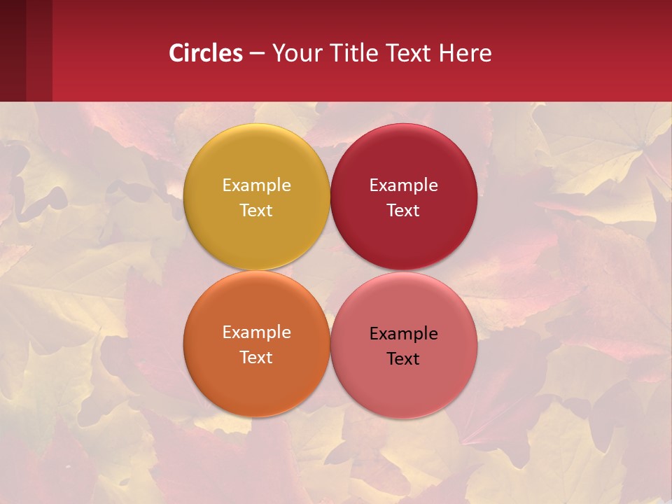 A Bunch Of Colorful Leaves On A White Background PowerPoint Template