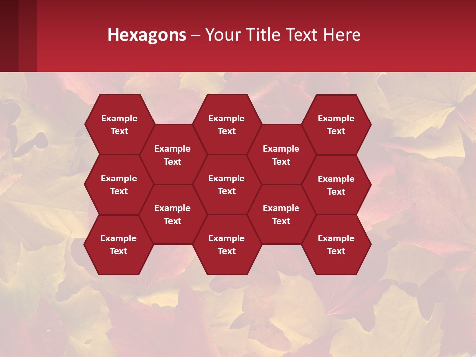 A Bunch Of Colorful Leaves On A White Background PowerPoint Template