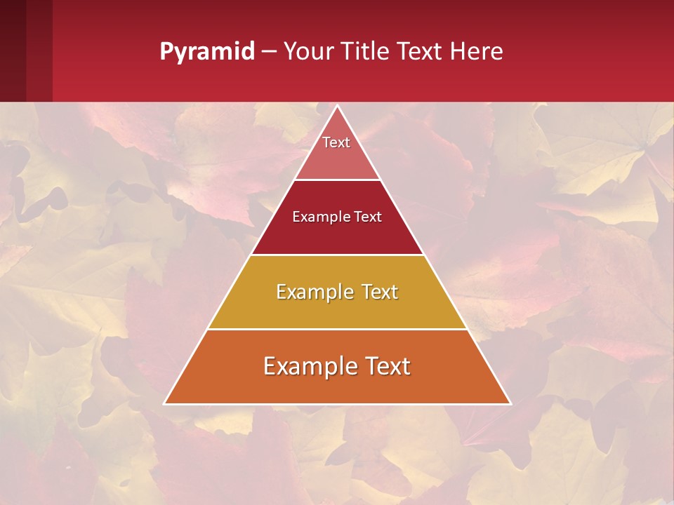 A Bunch Of Colorful Leaves On A White Background PowerPoint Template