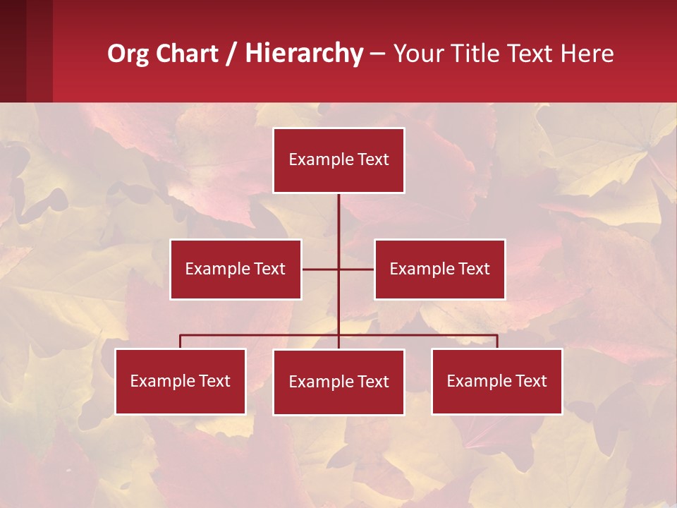 A Bunch Of Colorful Leaves On A White Background PowerPoint Template