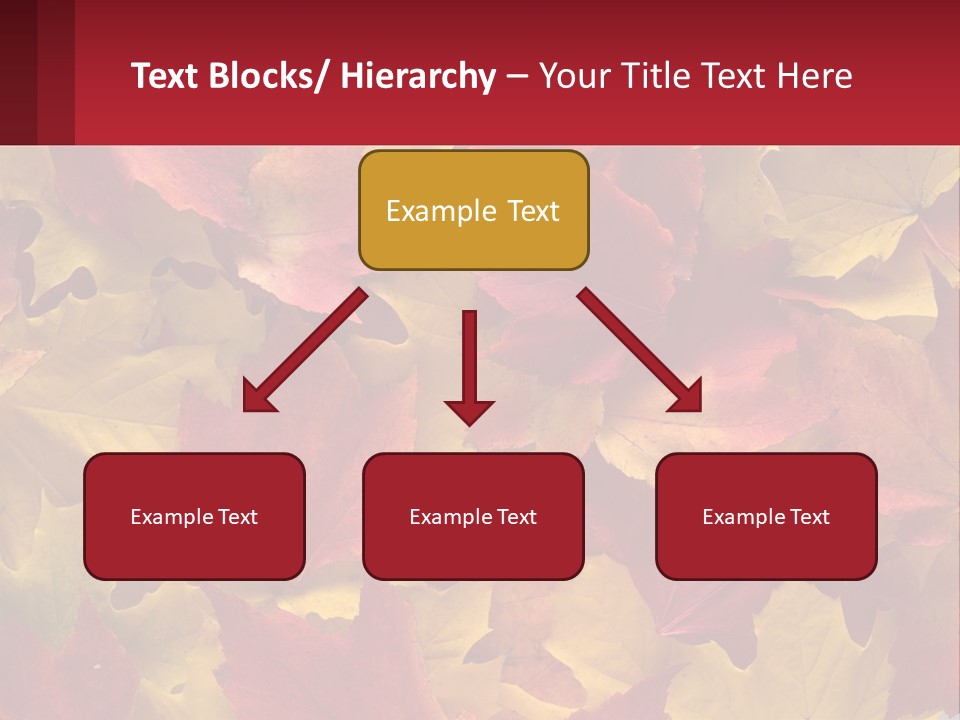 A Bunch Of Colorful Leaves On A White Background PowerPoint Template