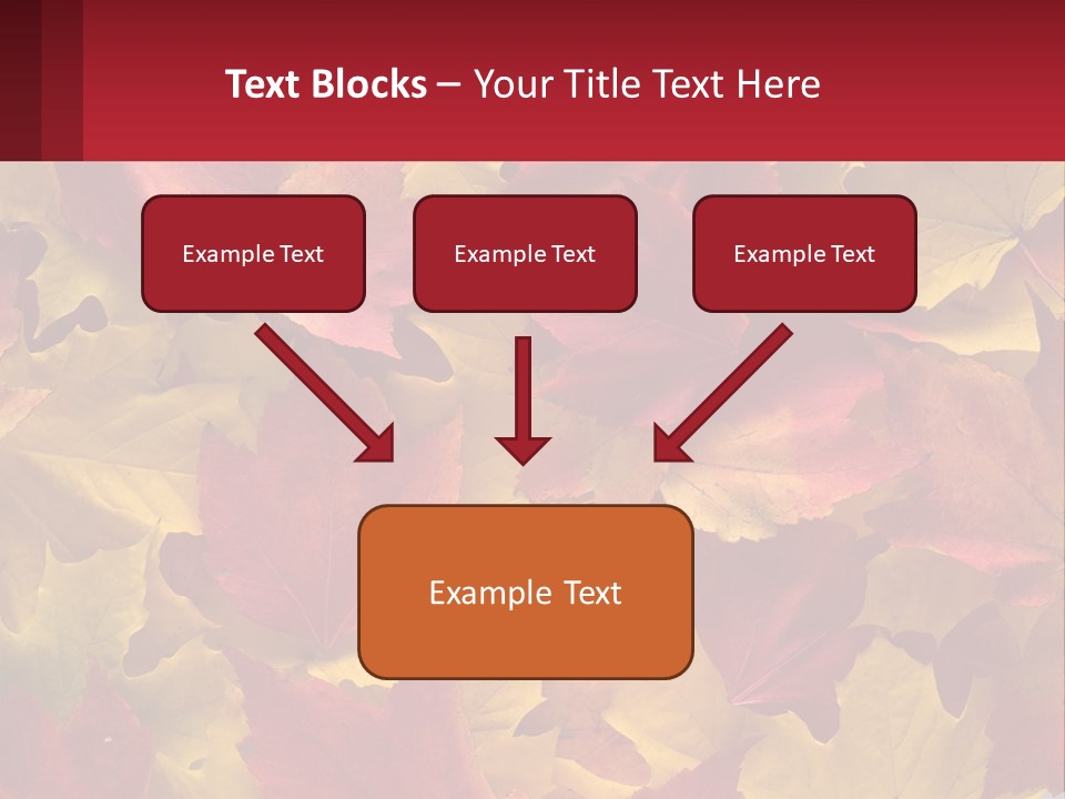 A Bunch Of Colorful Leaves On A White Background PowerPoint Template